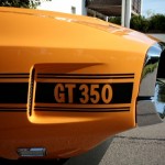 Shelby_1969_GT_350_19